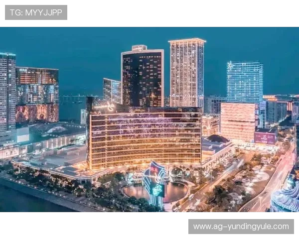 新云顶国际集团(澳门)有限公司：推动澳门经济繁荣与国际合作的重要企业